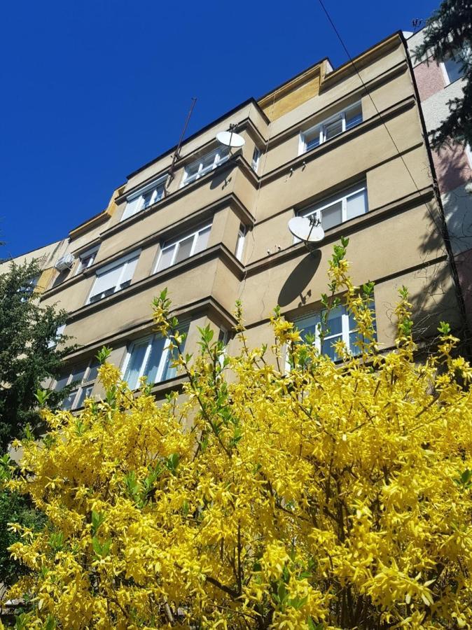 Apartmán Затишні Смарт-Квартири В Історичному Центрі! Užhorod Exteriér fotografie